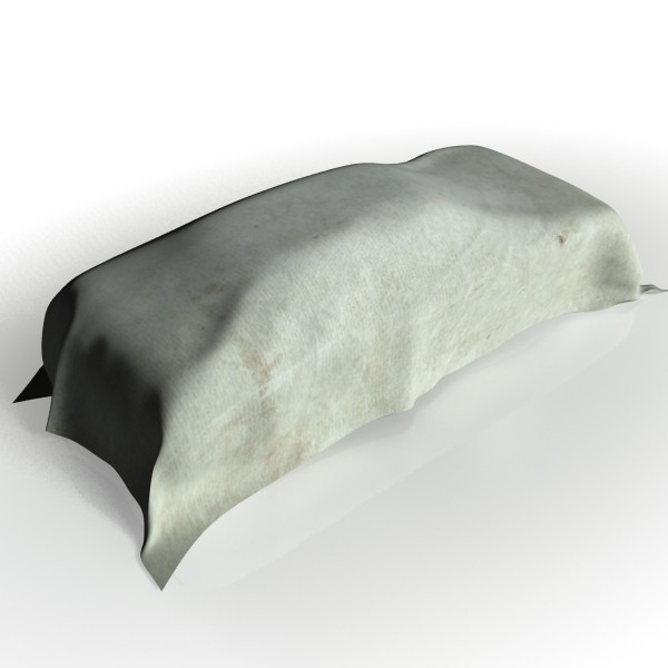 sedan cover 3d model - covered sedan by shadesofreal